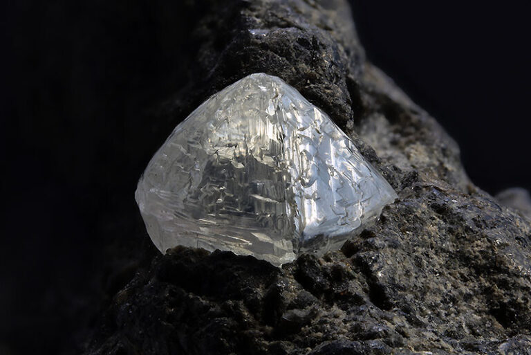 E rrallë/ Një indian i zhytur në borxhe gjeti një diamant të cilin do që ta ndajë me 19 të afërmit e tij