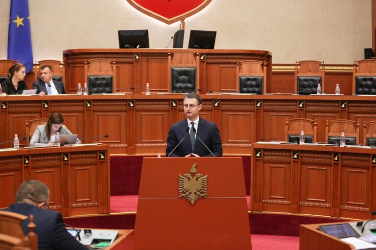 "Mbyllen dy koncesione", Mete: Pullat fiskale do kenë çmim më të ulët, markimi i karburanteve nga gushti bëhet pa tarifë