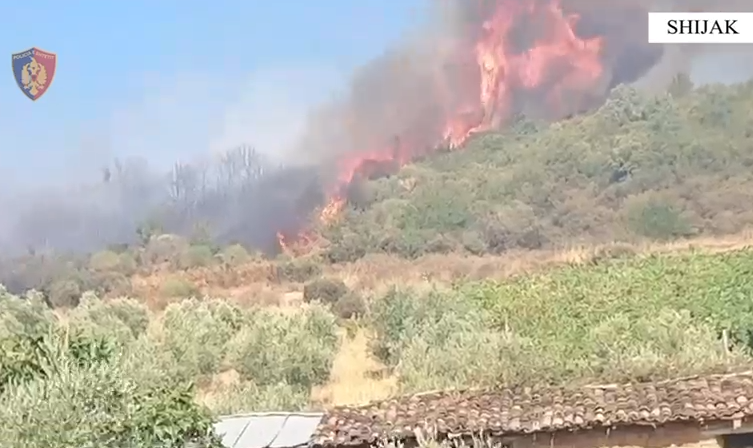 Ndezi zjarrin për të djegur mbeturinat/ 83 vjeçari dogji sipërfaqe toke të mbjella dhe rrezikoi banesat e dy të tjerëve Ndezi zjarrin për të djegur mbeturinat/ 83 vjeçari dogji sipërfaqe toke të mbjella dhe rrezikoi banesat e dy të tjerëve