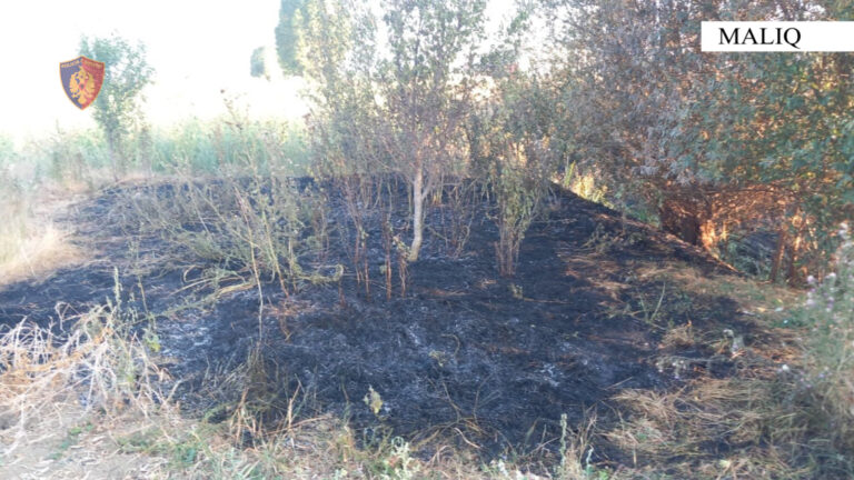 Ndezi zjarr në një toke bujqësore/ Flakët rrezikuan një biznes, arrestohet 64-vjeçari në Maliq Ndezi zjarr në një toke bujqësore/ Flakët rrezikuan një biznes, arrestohet 64-vjeçari në Maliq