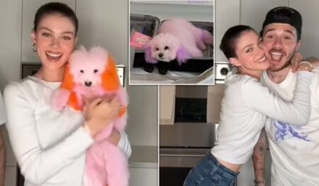 Lyen qentë e tyre me ngjyra, ndjekësat i kundërvihen aktores dhe djalit të futbollistit të njohur