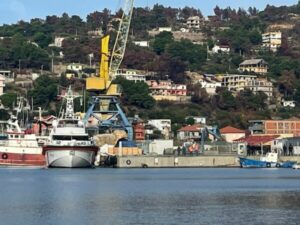 Pas mbërritjes së anijes, nisen drejt Italisë refugjatët