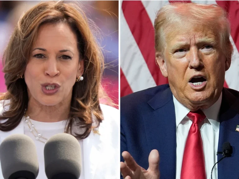 Sondazhet/ Sa vota të Kolegjit Zgjedhor parashikohet të fitojnë Harris dhe Trump Sondazhet/ Sa vota të Kolegjit Zgjedhor parashikohet të fitojnë Harris dhe Trump
