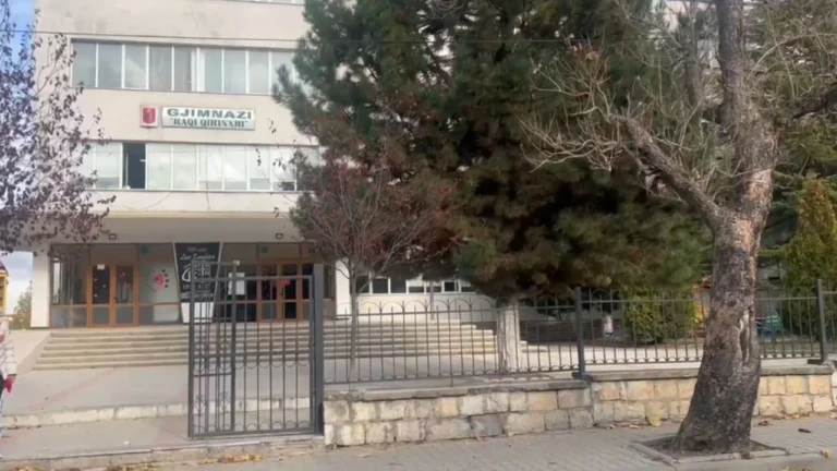 Zbardhet ngjarja/ E sulmuan sapo doli nga shkolla, 16-vjeçari dëshmon: Ishte Rei, më nxori thikën