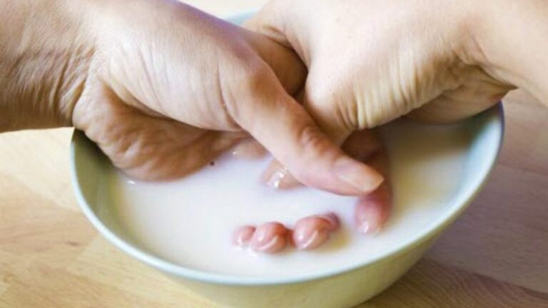 Për një lëkurë më të butë, mjekët sugjerojnë kurën me qumësht