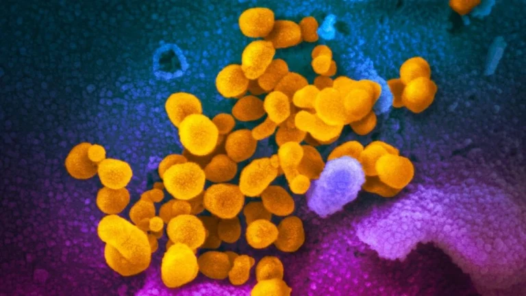 Studimi: Shkencëtarët kanë zbuluar forma të reja jete brenda trupit të njeriut!