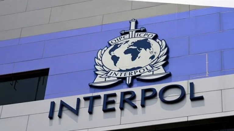 Interpol Tirana/ Ekstradohen drejt Italisë dy të dënuar për vra*je, të fshehur prej vitesh në Dibër 4 shqiptarë ekstradohen drej Italisë. Ja për çfarë dyshohen (EMRAT)