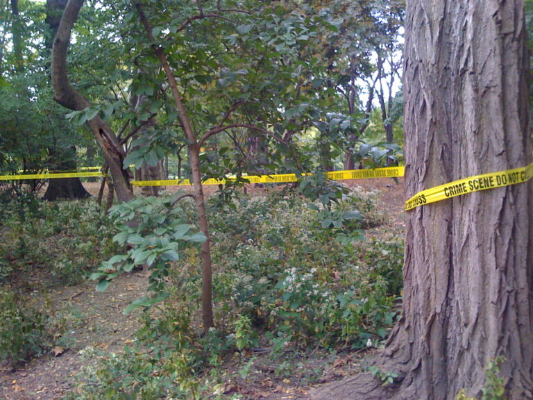 Detaje tronditëse: Dikush i sulmoi me th*kë në park. Ndërrojnë jetë dy persona, njëri prej tyre fëmija