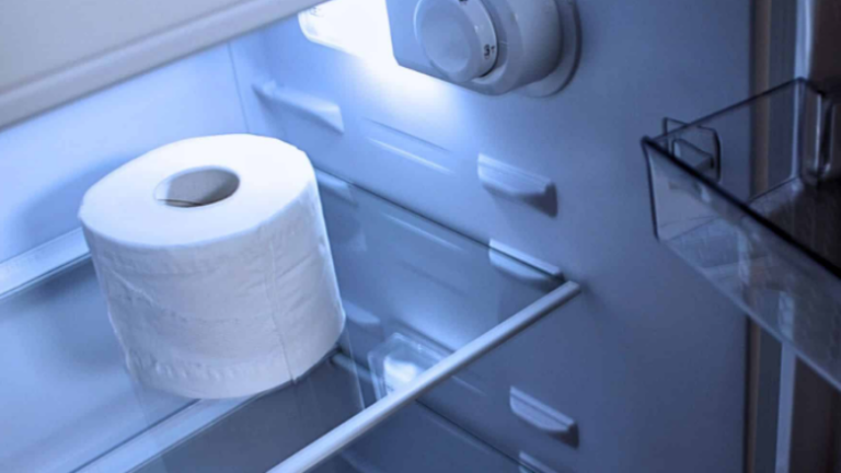 Trendi viral me letrën higjenike në frigorifer, çfarë fshihet prapa këtij truku?