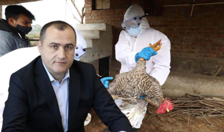 Gripi i shpendëve "fundos" karrierën e drejtorit të AKVMB-së