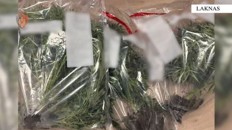 Pamje të reja brenda shtëpisë së barit të zbuluar në Laknas