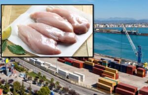 18 ton fileto pule me salmonelë/ Administratori i kompanisë në kërkim, procedohen 3 inspektorët e AKU-së