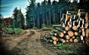 Shkoi për gjueti në mal, i riu nga Hasi humb kontatet me familjen