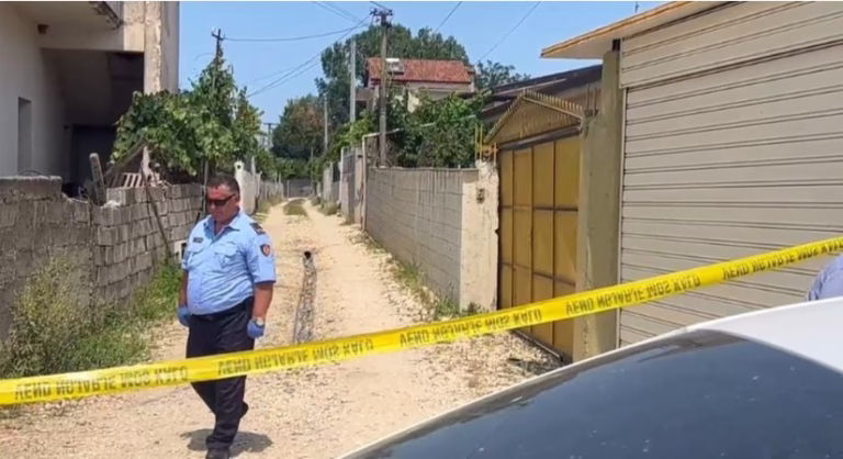 Zbardhet përplasja e fqinjëve në Gosë: Autori plagosi çiftin për bagëtitë e tyre
