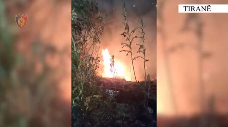 U dha flakën 3 sipërfaqe toke/ Rrezikoi jetën e banorëve dhe një karburant, arrestohet 34-vjeçari