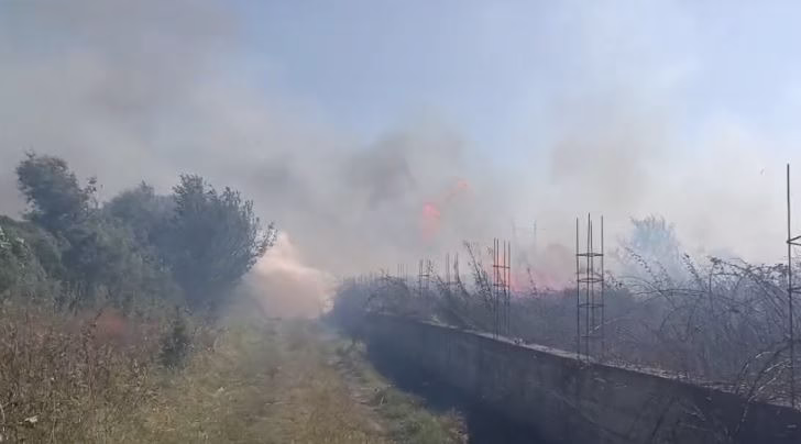 Zjarr i fuqishëm në Lushnjë, digjen toka dhe një parcelë me ullinj, flakët rrezikojnë banesat