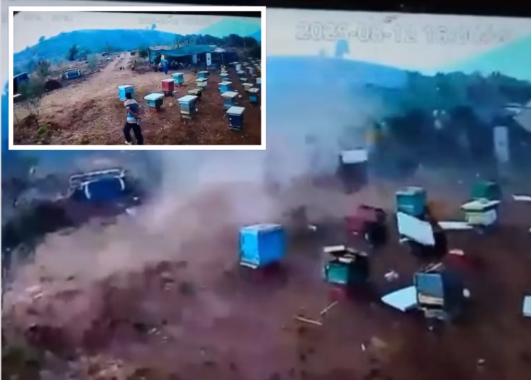 VIDEOLAJM/ Shfaqet një tornado në Delvinë, fenomeni natyror shkatërron kosheret e bletëve