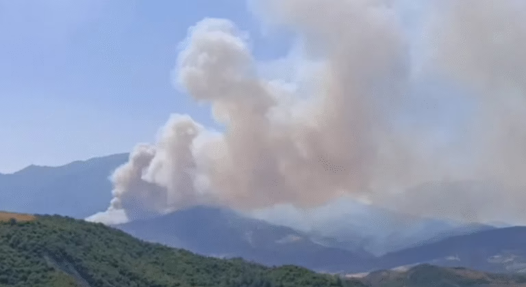 Zjarri përfshin Parkun Natyror të Gërmenjit, dyshohet për zjarrvënie të qëllimshme