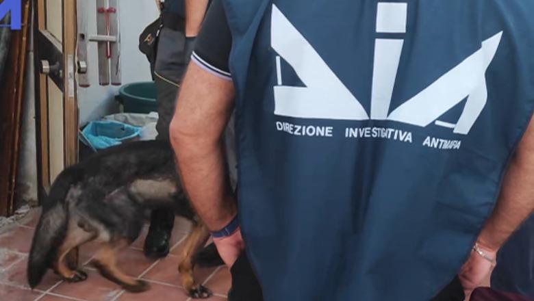 Droga nga Shqipëria drejt Italisë me autobusë linje, gra dhe të mitur si korrierë! 23 të arrestuar Droga nga Shqipëria drejt Italisë me autobusë linje, gra dhe të mitur si korrierë! 23 të arrestuar