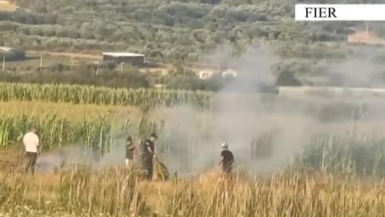 Dogjën mbeturinat në ara, flakët dolën jashtë kontrollit dhe rrezikuan banesat, një i arrestuar në Fier Dogjën mbeturinat në ara, flakët dolën jashtë kontrollit dhe rrezikuan banesat, një i arrestuar në Fier